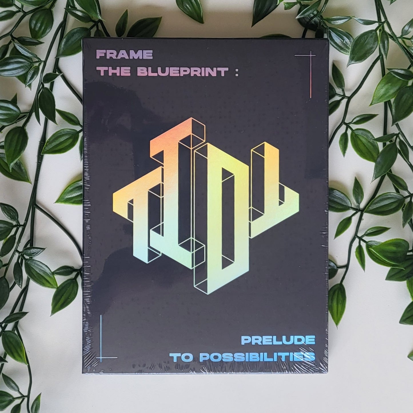 TIOT - FRAME THE BLUEPRINT : PRELUDE TO POSSIBILITIES (2 VERSIONS) - LightUpK