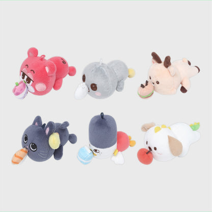 (PRÉCOMMANDE) RIIZE - 19 BRRR DOLL / 2026 RIIZE POP-UP [ARCHIIVE²] MD OFFICIEL (6 VERSIONS)