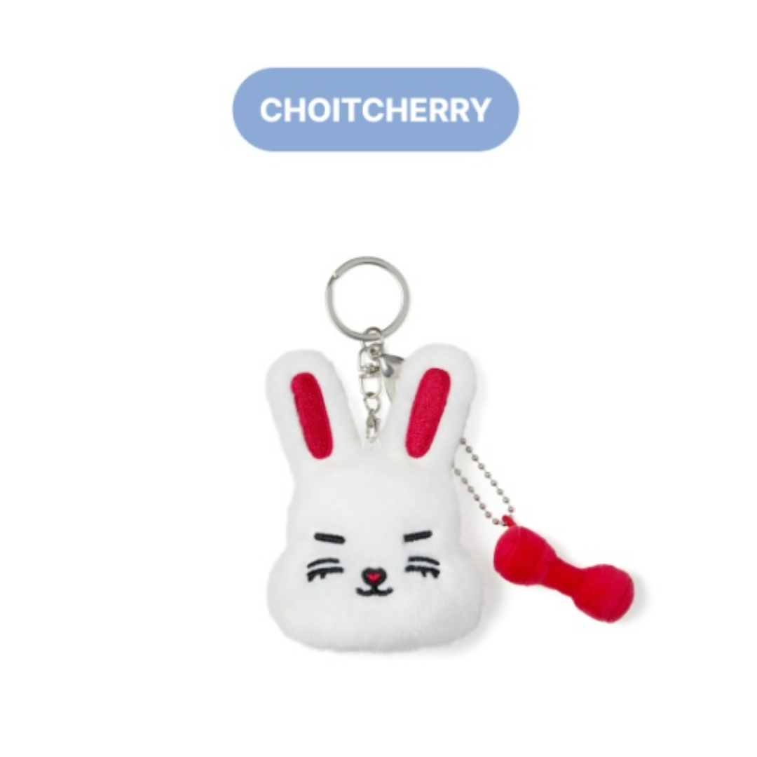 SEVENTEEN - MINITEEN 2ND OFFICIAL MD FACE PLUSH KEYRING (13 VERSIONS)