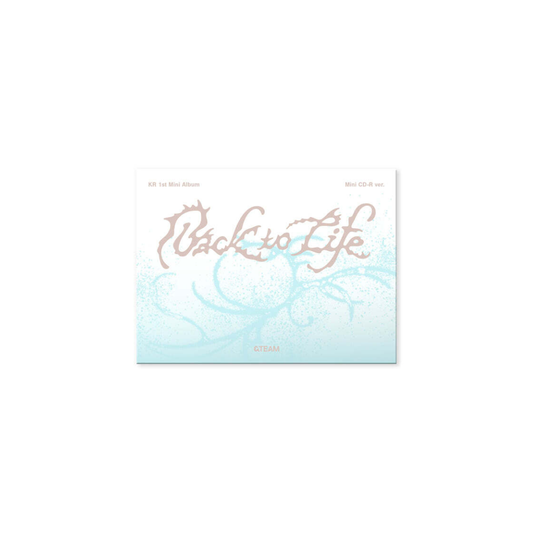 (PRE-ORDER) &TEAM - KR 1ST MINI ALBUM [BACK TO LIFE] PHOTOCARD BOX (MINI CD-R VER.)