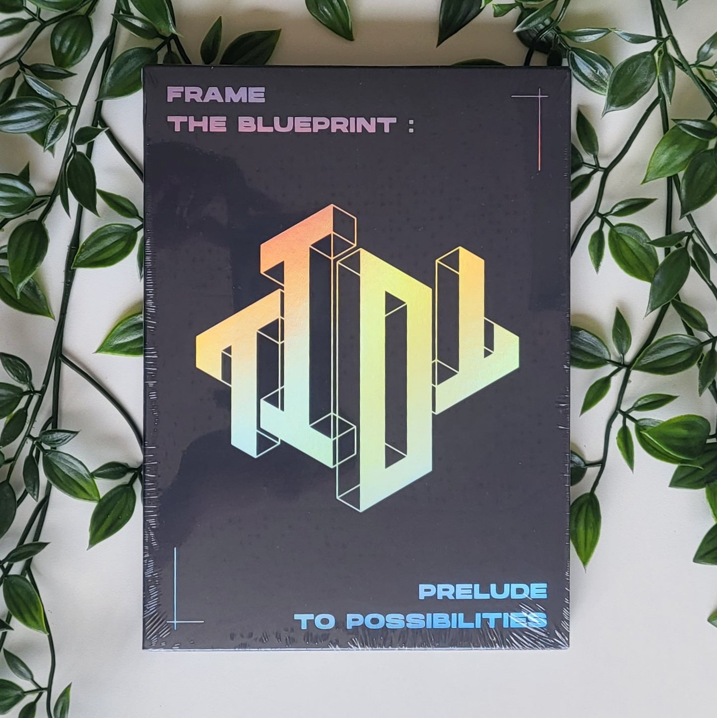 TIOT - FRAME THE BLUEPRINT : PRELUDE TO POSSIBILITIES (2 VERSIONS)