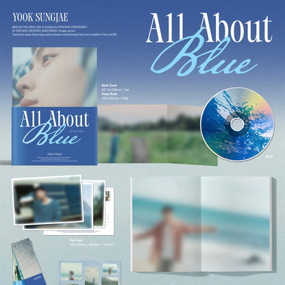 YOOK SUNG JAE - 1ST MINI ALBUM [ALL ABOUT BLUE] - LightUpK