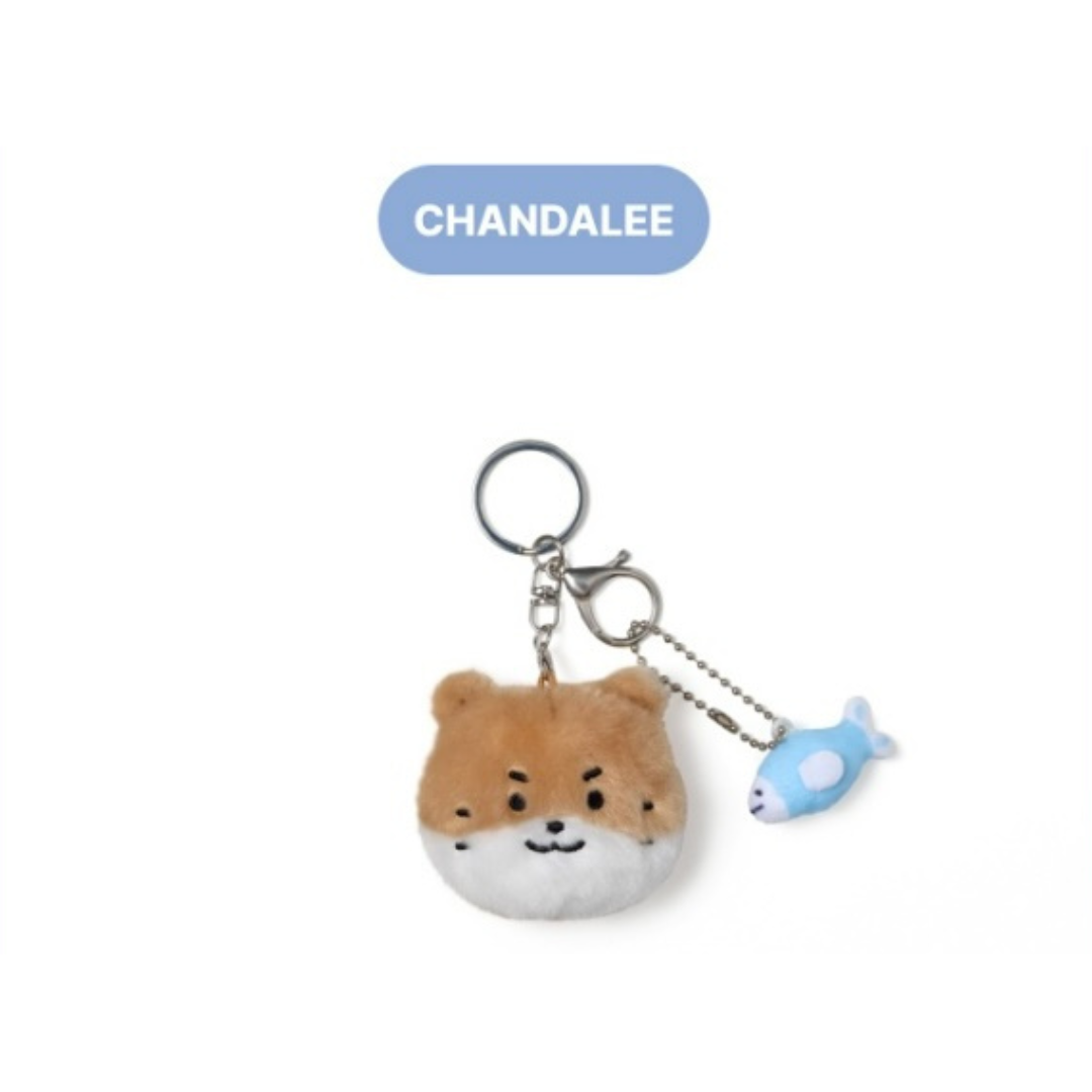 SEVENTEEN - MINITEEN 2ND OFFICIAL MD FACE PLUSH KEYRING (13 VERSIONS)