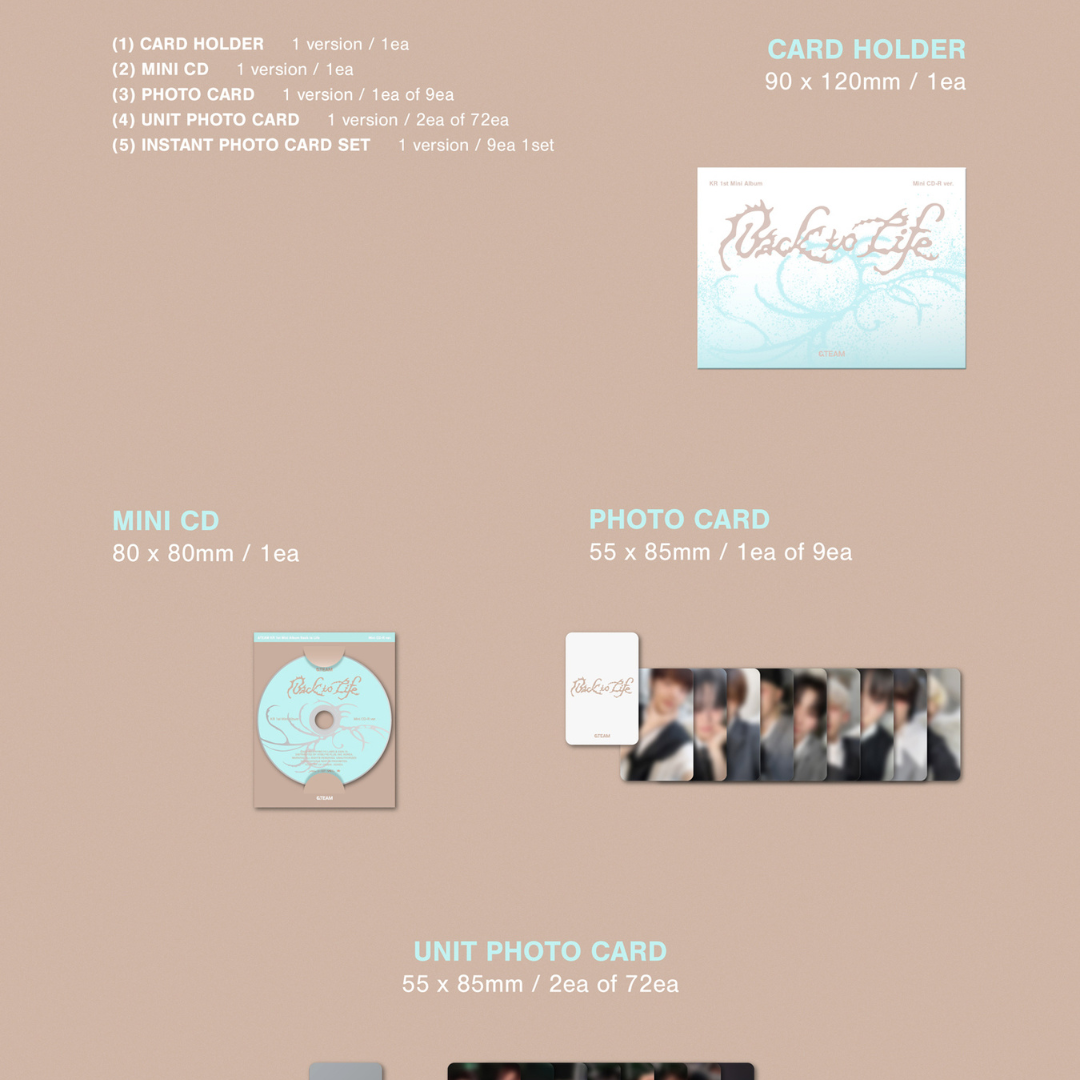 &TEAM - KR 1ST MINI ALBUM [BACK TO LIFE] PHOTOCARD BOX (MINI CD-R VER.) - LightUpK