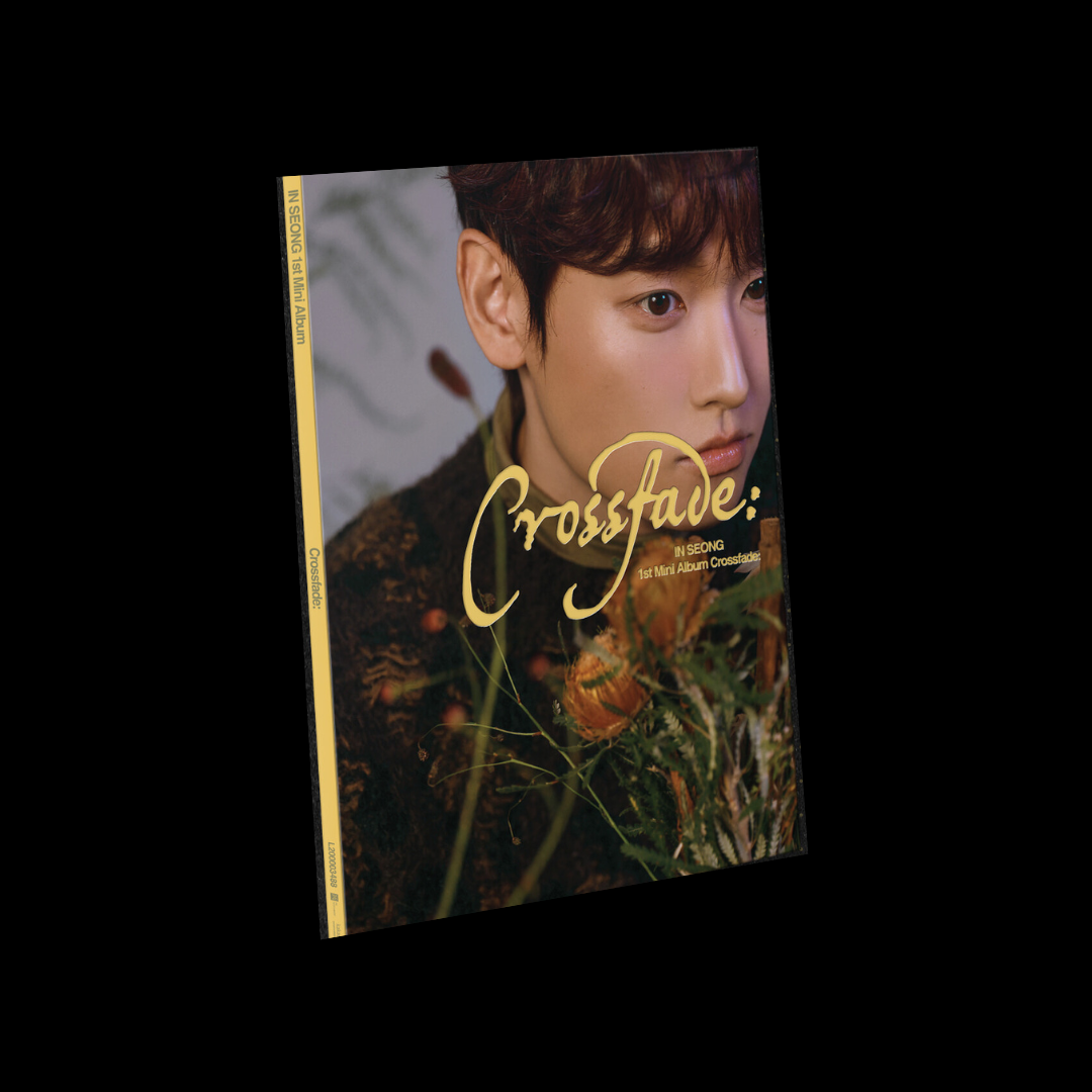 IN SEONG - MINI [CROSSFADE:] (2 VERSIONS) - LightUpK