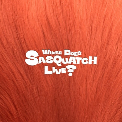 PARC ZIOR - OÙ VIVRE SASQUATCH ?