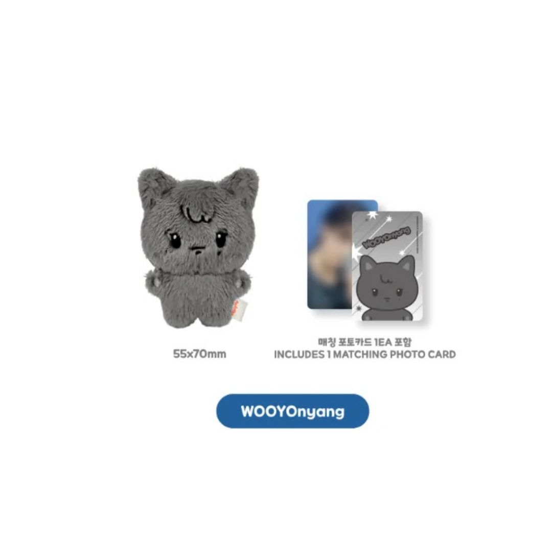 (PRE-ORDER) ATEEZ X ANITEEZ POP-UP [ANITEEZ IN DEJAVU] MD - TINY ANITEEZ MINI DOLL (8 VERSIONS)