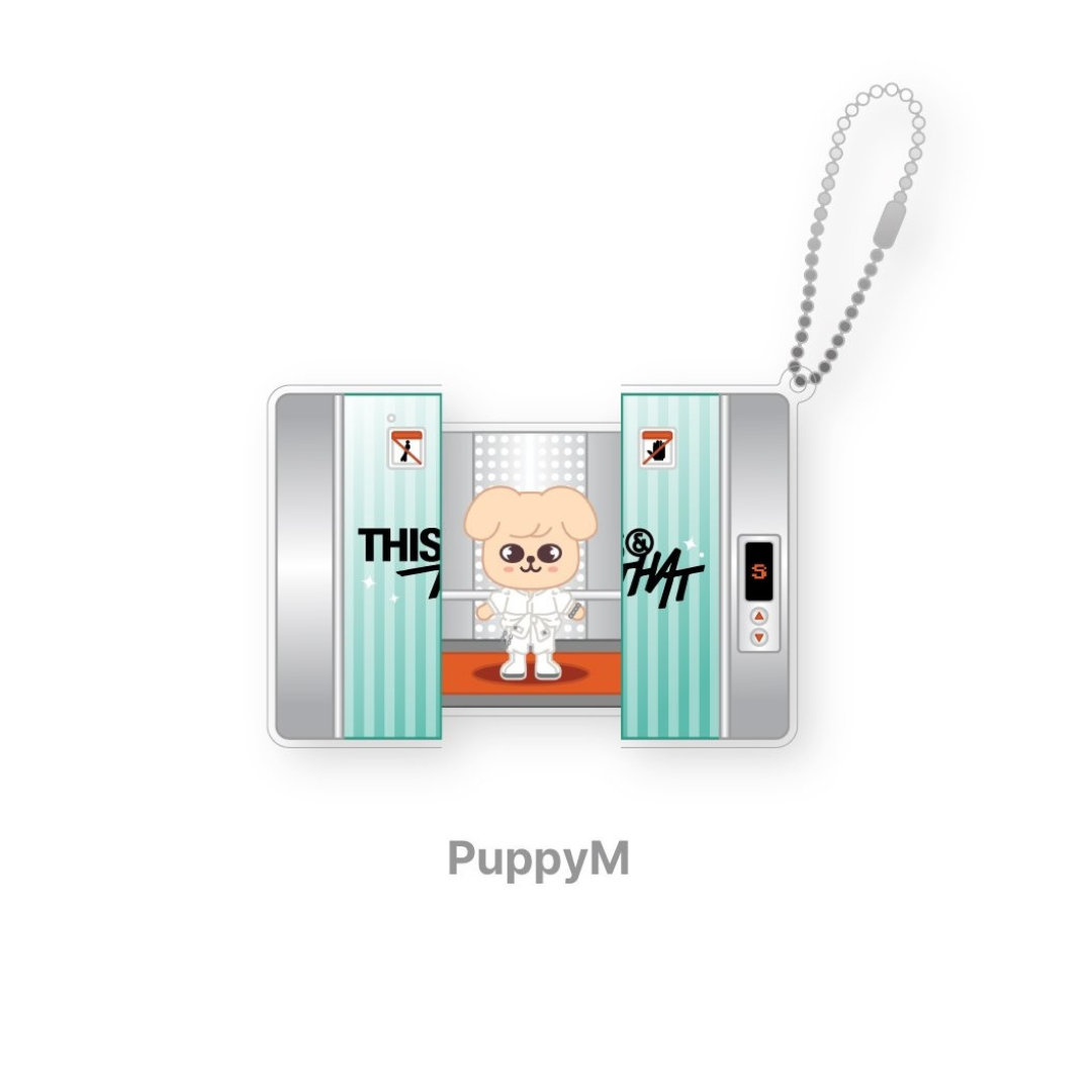 (PRE-ORDER) STRAY KIDS - SKZOO CAPSULE ACRYLIC KEYRING - THIS & THAT MD (8 VERSIONS)
