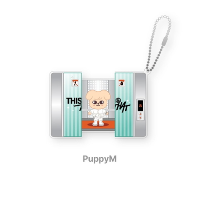 (PRE-ORDER) STRAY KIDS - SKZOO CAPSULE ACRYLIC KEYRING - THIS & THAT MD (8 VERSIONS)
