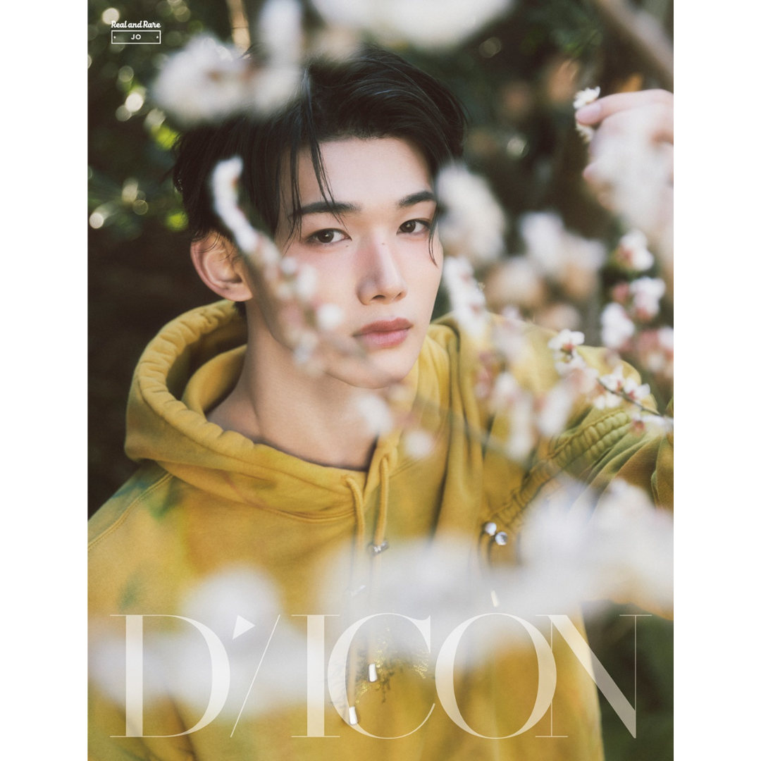 DICON VOLUME N°28 &TEAM (18 VERSIONS) - LightUpK