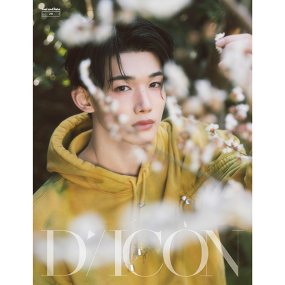 DICON VOLUME N°28 &TEAM (18 VERSIONS) - LightUpK