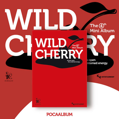 ICHILLIN' - 4TH MINI ALBUM [WILD CHERRY] (POCA ALBUM) - LightUpK