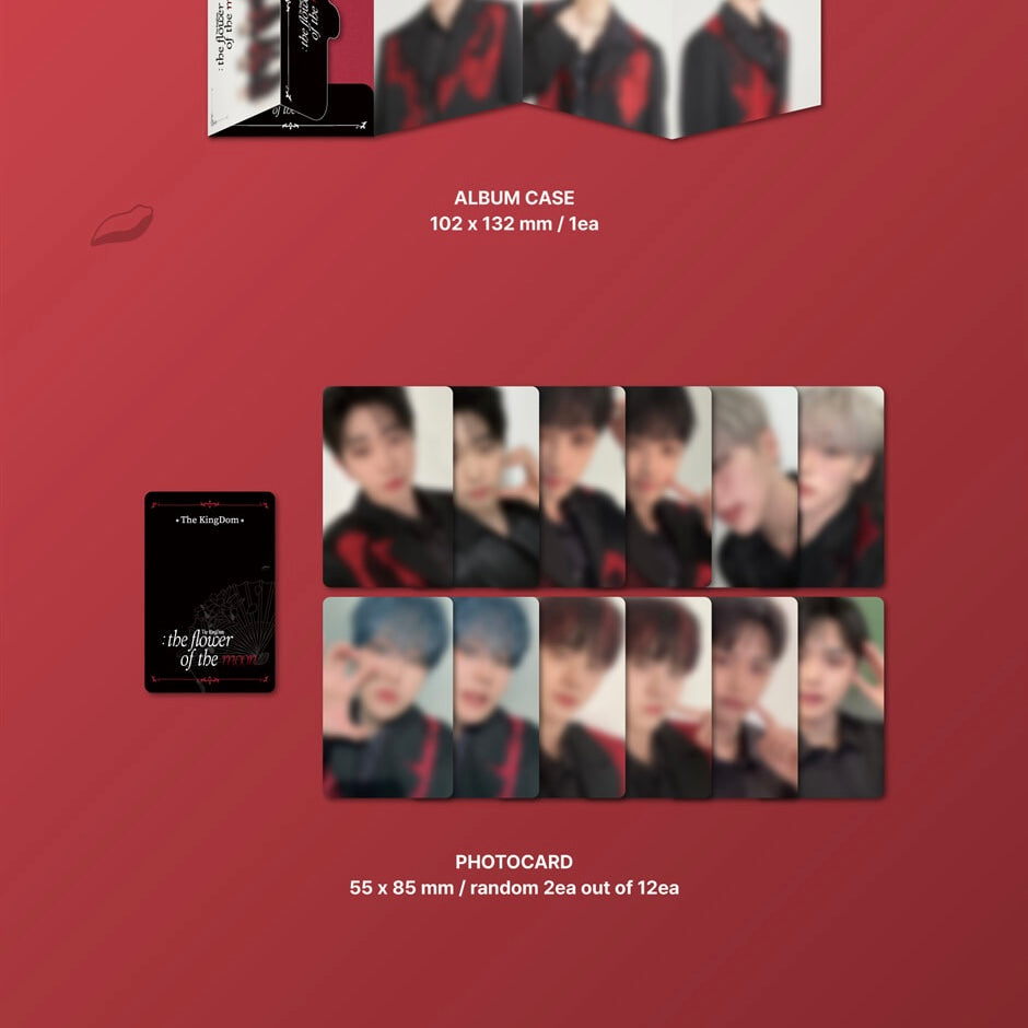 THE KINGDOM - THE KINGDOM : THE FLOWER OF THE MOON (2 VERSIONS) - LightUpK