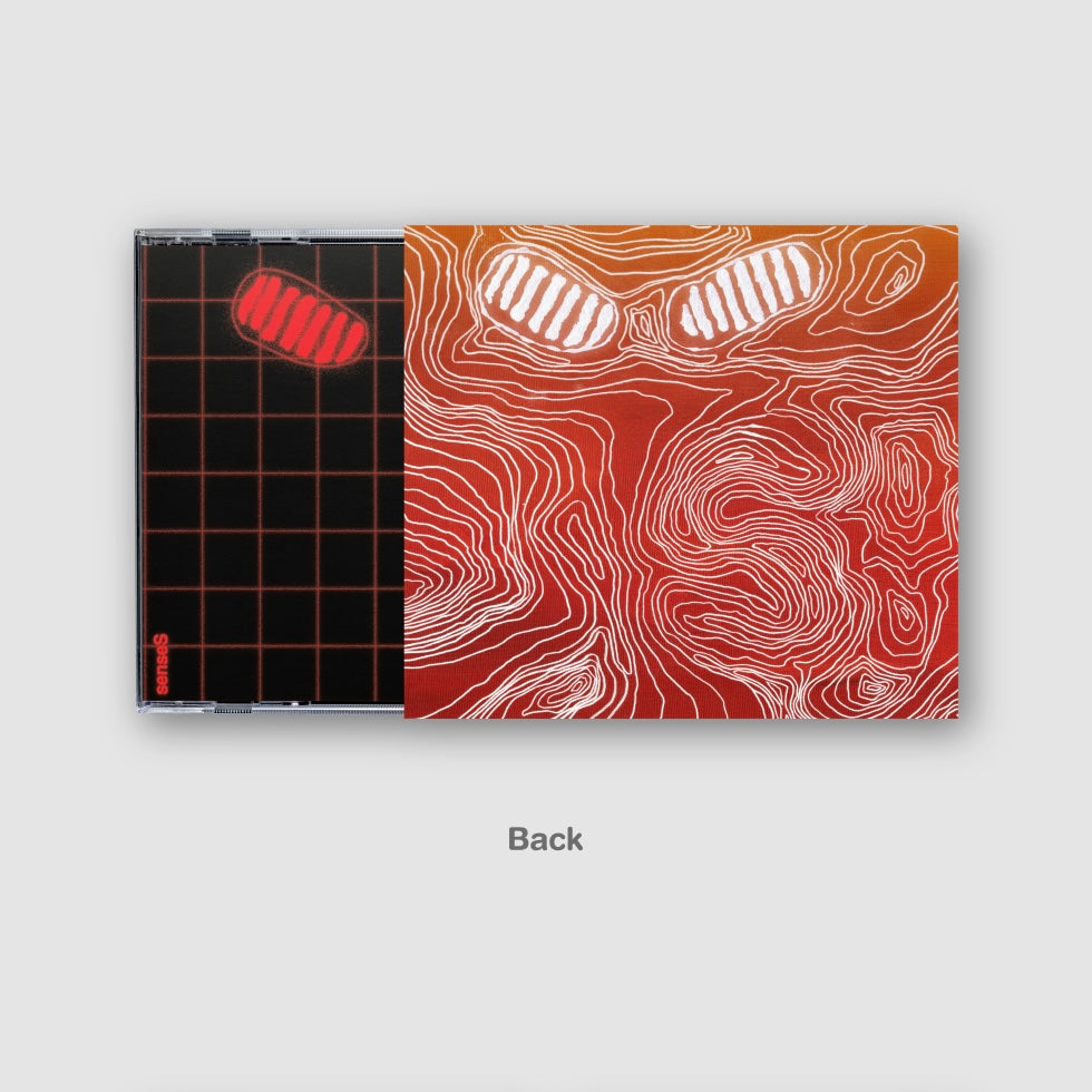 HONG DA BIN - SENSES - LightUpK