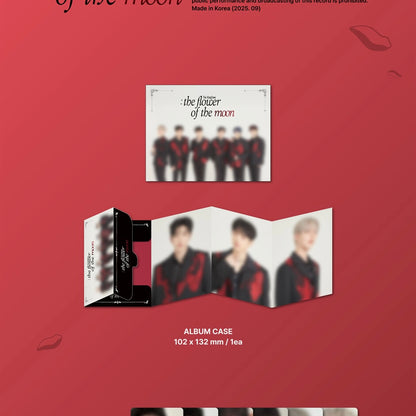 THE KINGDOM - THE KINGDOM : THE FLOWER OF THE MOON (2 VERSIONS) - LightUpK