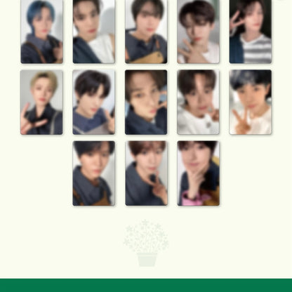NCT ZONE COUPON CARD [GARDENER VER.] - LightUpK