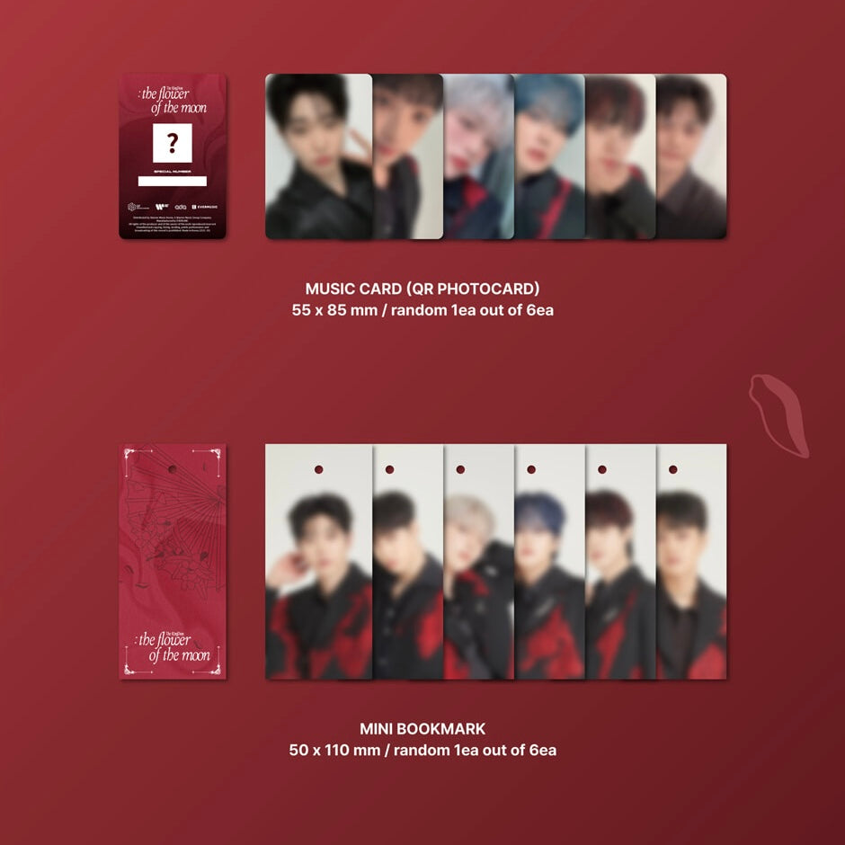 THE KINGDOM - THE KINGDOM : THE FLOWER OF THE MOON (2 VERSIONS) - LightUpK