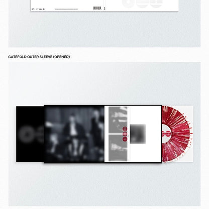 (PRE-ORDER) BTS - ARIRANG (DELUXE VINYL) (2 VERSIONS) RANDOM - LightUpK