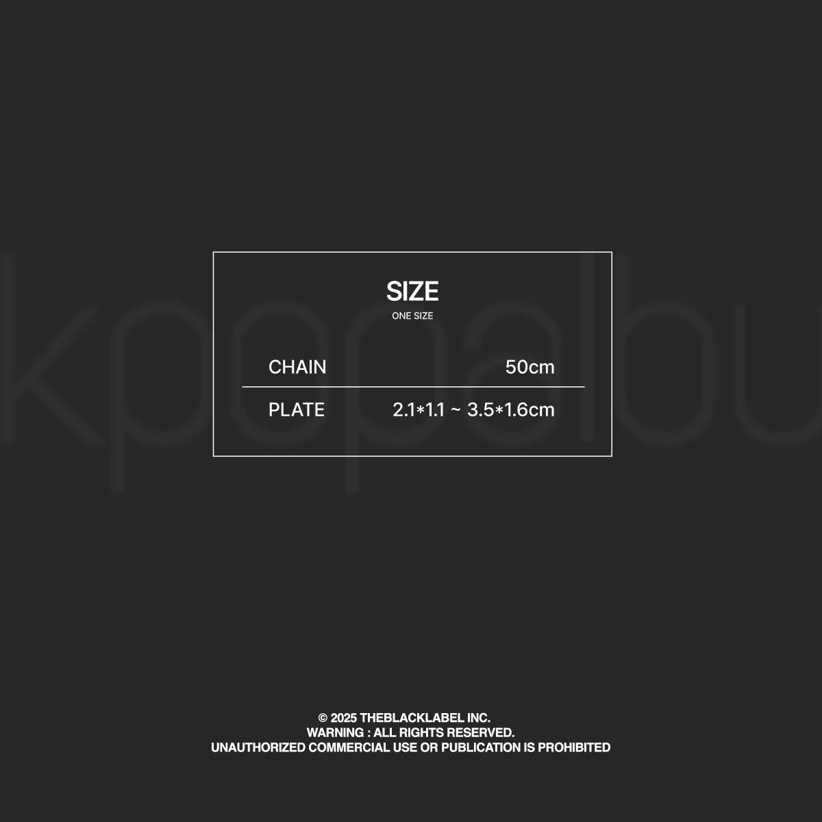 MEOVV - NAME PLATE NECKLACE [MEOVV] (6 VERSIONS) - LightUpK