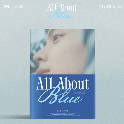 YOOK SUNG JAE - 1ST MINI ALBUM [ALL ABOUT BLUE] - LightUpK