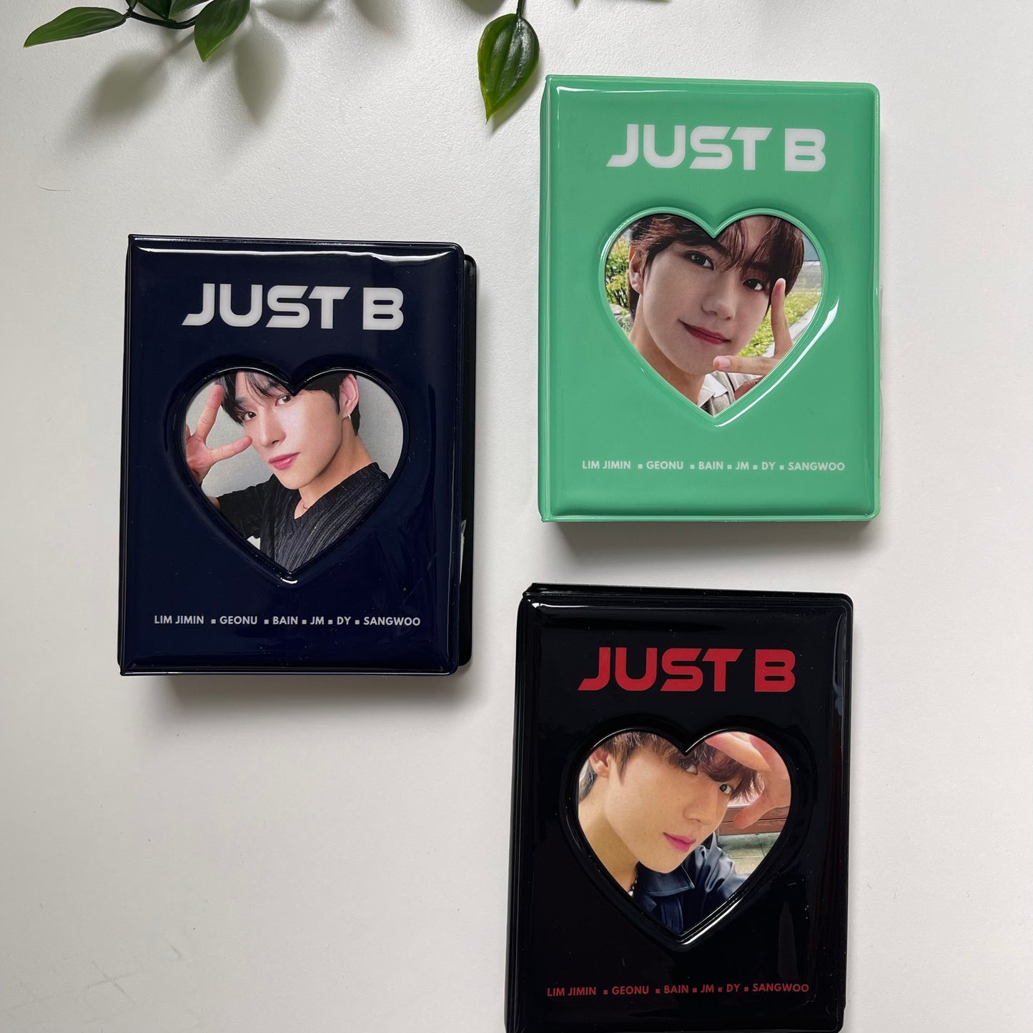 (3 PACK) JUST B COLLECT BOOKS