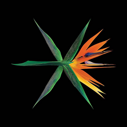 EXO - VOL.4 [LA GUERRE] (VERSION CHINOIS) (3 VERSIONS)