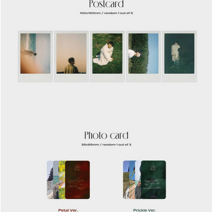 RYEOWOOK - A WILD ROSE (3ÈME MINI ALBUM) (2 VERSIONS)